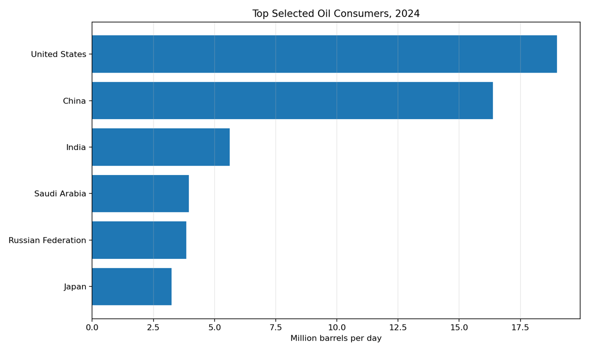 Top selected oil consumers in 2024
