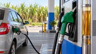 Gadkari defends E20 petrol; drivers get checks after damage debate