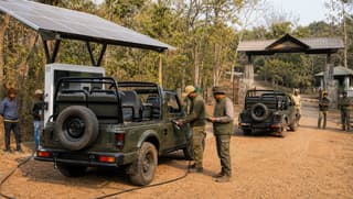 Maharashtra Forest EV Plan: Tadoba Safari Shift Could Cut Petrol Use In Tiger Reserves