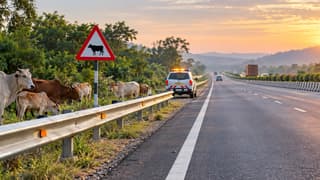 NHAI Telangana plan proposes stray-cattle tags and owner penalties